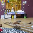 IMG_0341 IMG_0341